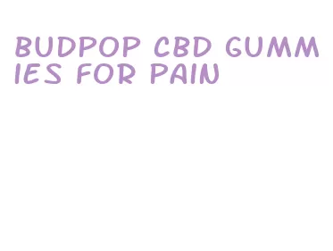 budpop cbd gummies for pain