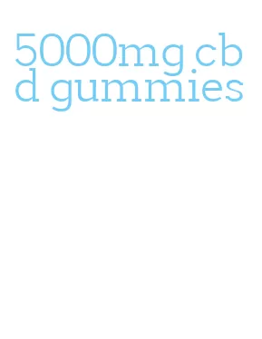 5000mg cbd gummies
