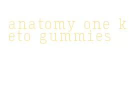anatomy one keto gummies