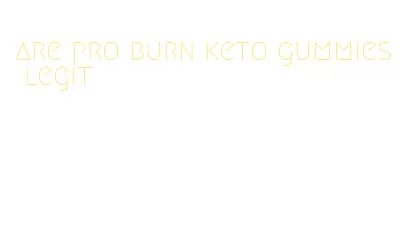 are pro burn keto gummies legit