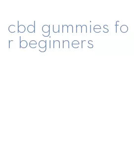 cbd gummies for beginners