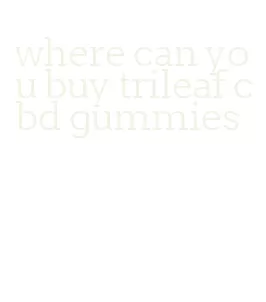 where can you buy trileaf cbd gummies