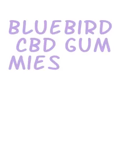 bluebird cbd gummies