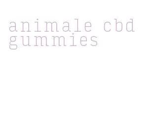 animale cbd gummies