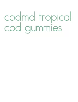 cbdmd tropical cbd gummies