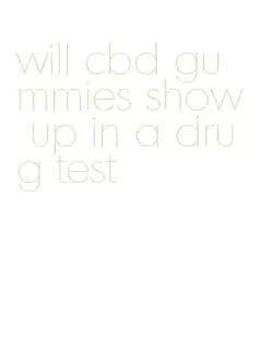 will cbd gummies show up in a drug test