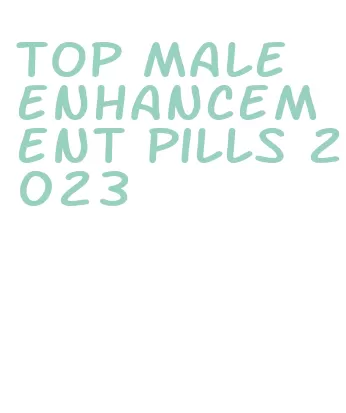 top male enhancement pills 2023