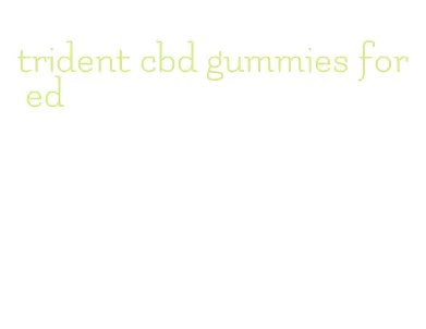 trident cbd gummies for ed