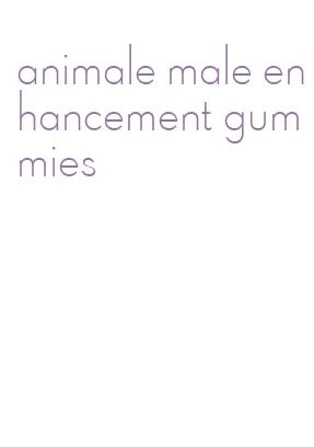animale male enhancement gummies