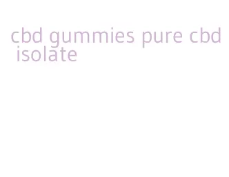 cbd gummies pure cbd isolate