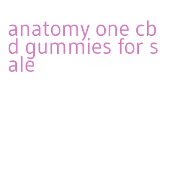 anatomy one cbd gummies for sale