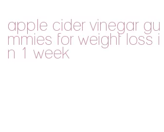 apple cider vinegar gummies for weight loss in 1 week