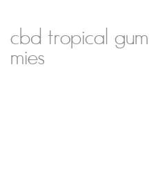 cbd tropical gummies