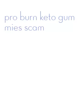 pro burn keto gummies scam