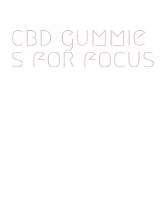 cbd gummies for focus
