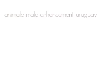 animale male enhancement uruguay