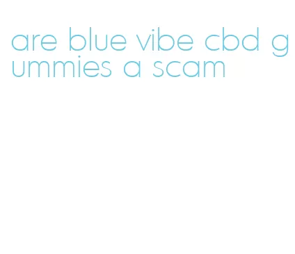 are blue vibe cbd gummies a scam