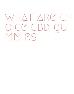 what are choice cbd gummies
