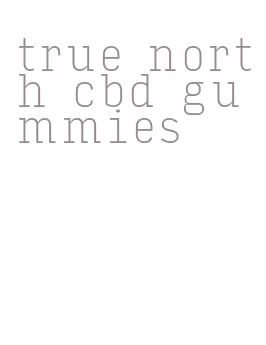 true north cbd gummies