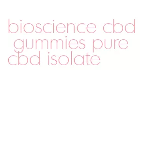 bioscience cbd gummies pure cbd isolate