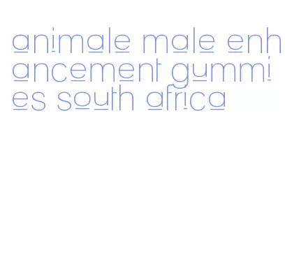 animale male enhancement gummies south africa