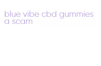 blue vibe cbd gummies a scam