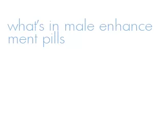 what's in male enhancement pills