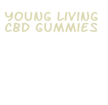young living cbd gummies