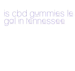is cbd gummies legal in tennessee