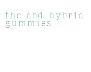 thc cbd hybrid gummies
