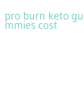 pro burn keto gummies cost