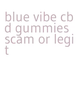 blue vibe cbd gummies scam or legit