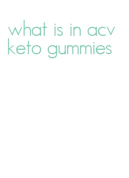what is in acv keto gummies