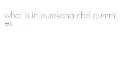 what is in purekana cbd gummies