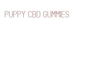 puppy cbd gummies