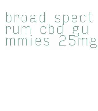 broad spectrum cbd gummies 25mg