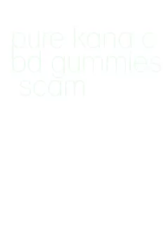 pure kana cbd gummies scam