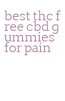 best thc free cbd gummies for pain