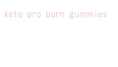keto pro burn gummies