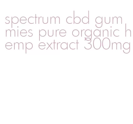 spectrum cbd gummies pure organic hemp extract 300mg