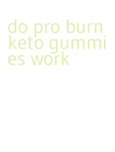 do pro burn keto gummies work