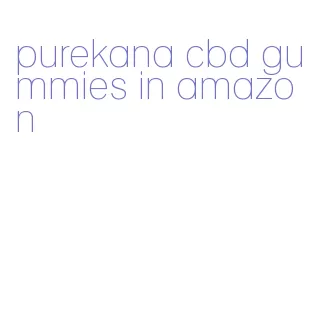 purekana cbd gummies in amazon