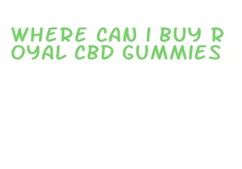 where can i buy royal cbd gummies